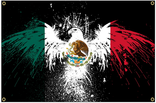 Mexican Flag  Interior Decoration Banner Tapestry